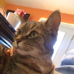 Meet your Posher, Pamela